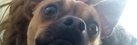 katie_looong's profile banner image