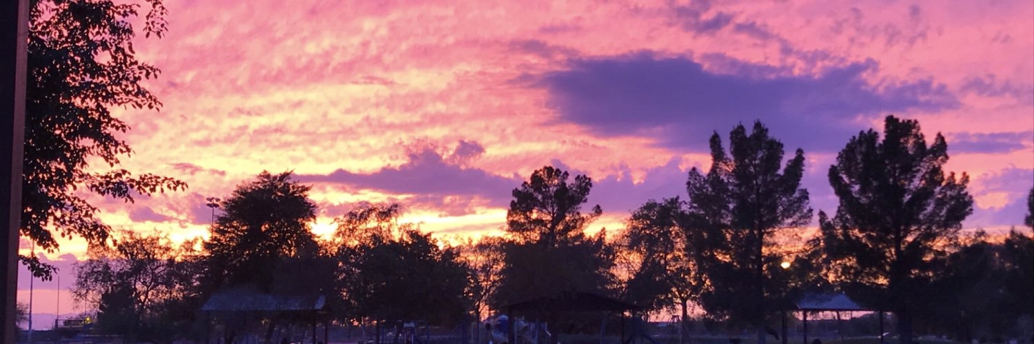 LJschicken's profile banner image