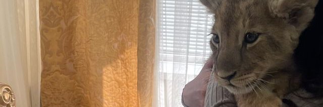 ᎠᏞᎯ Ꮮ ᎿᎯ ᎻᎯ banner