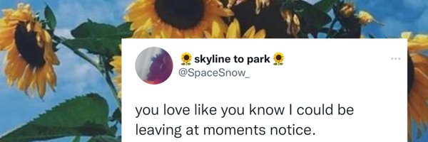 supernaira Profile Banner