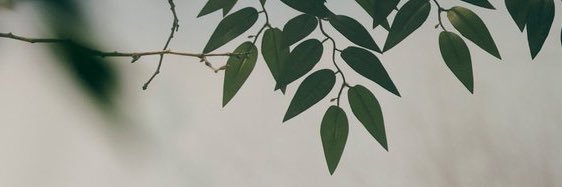 jongincito's profile banner image