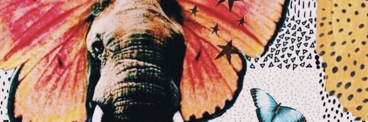 ssydneyll's profile banner image