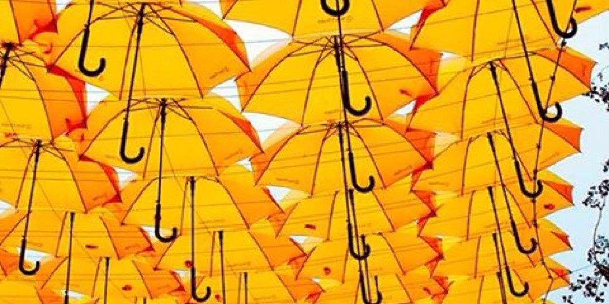 muppymax's profile banner image