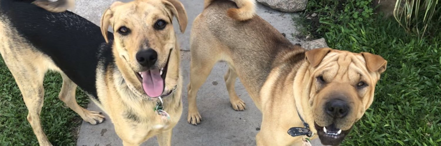 Vero_343's profile banner image