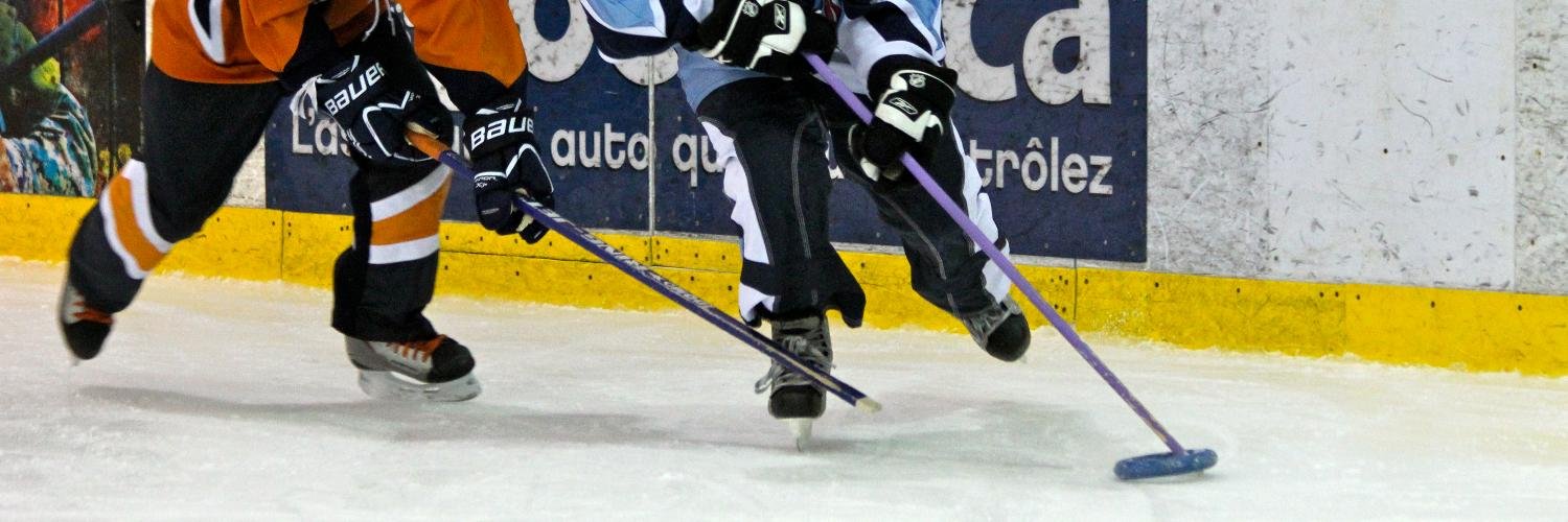 Ringuette Ste-Julie banner