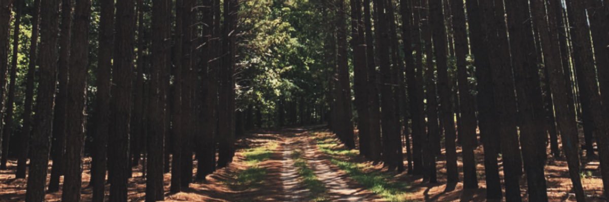 ThatGuySnapshot's profile banner image