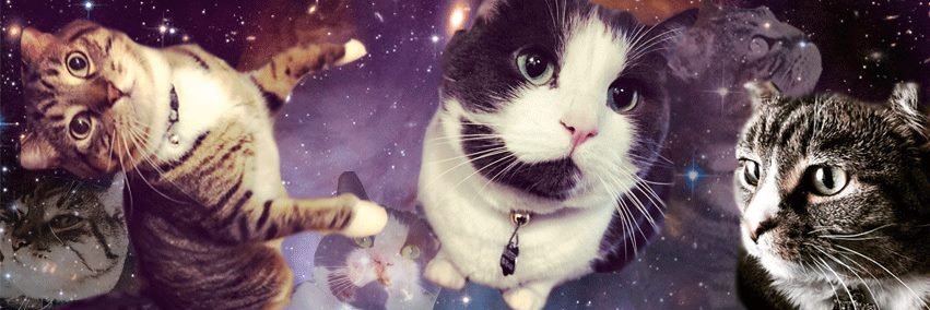 cashisms's profile banner image