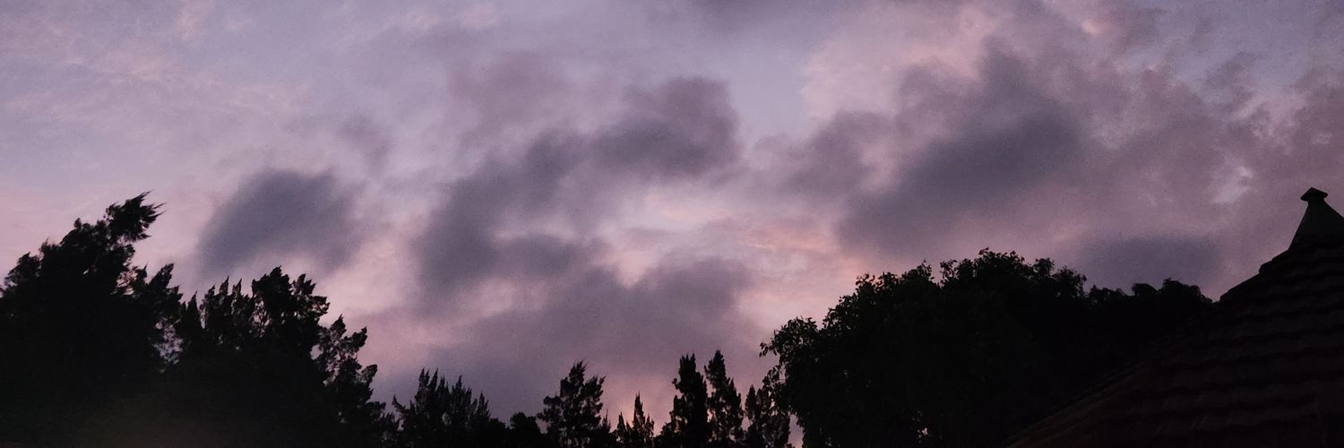 zitsieD's profile banner image