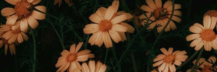 JustSomeHelp's profile banner image