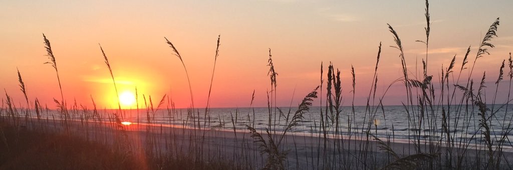 meredithhelline's profile banner image