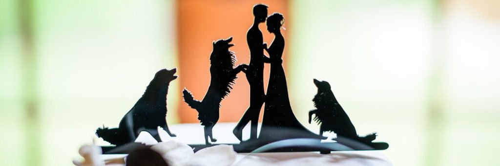 AlyssaAlley22's profile banner image