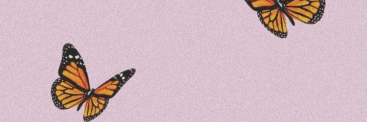 margowinter's profile banner image
