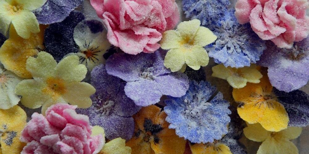 Meadowsweet01's profile banner image