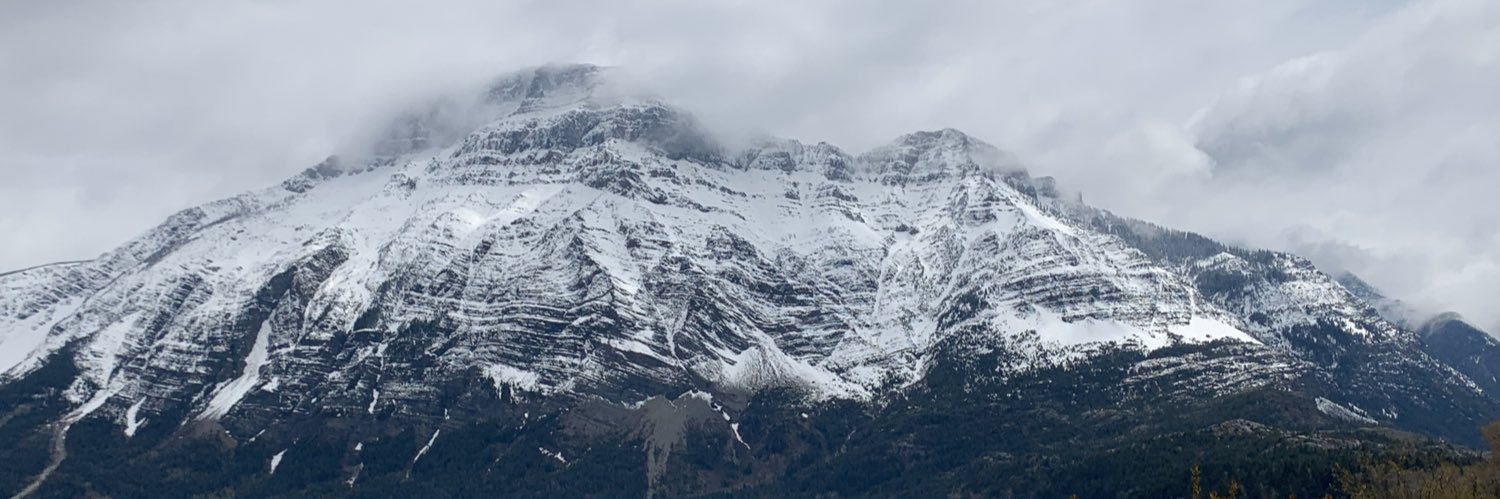 polioroid's profile banner image