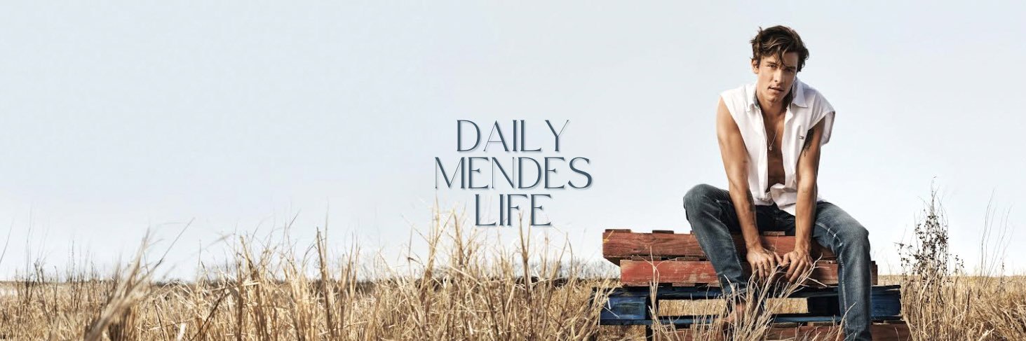 Shawn Mendes Updates banner