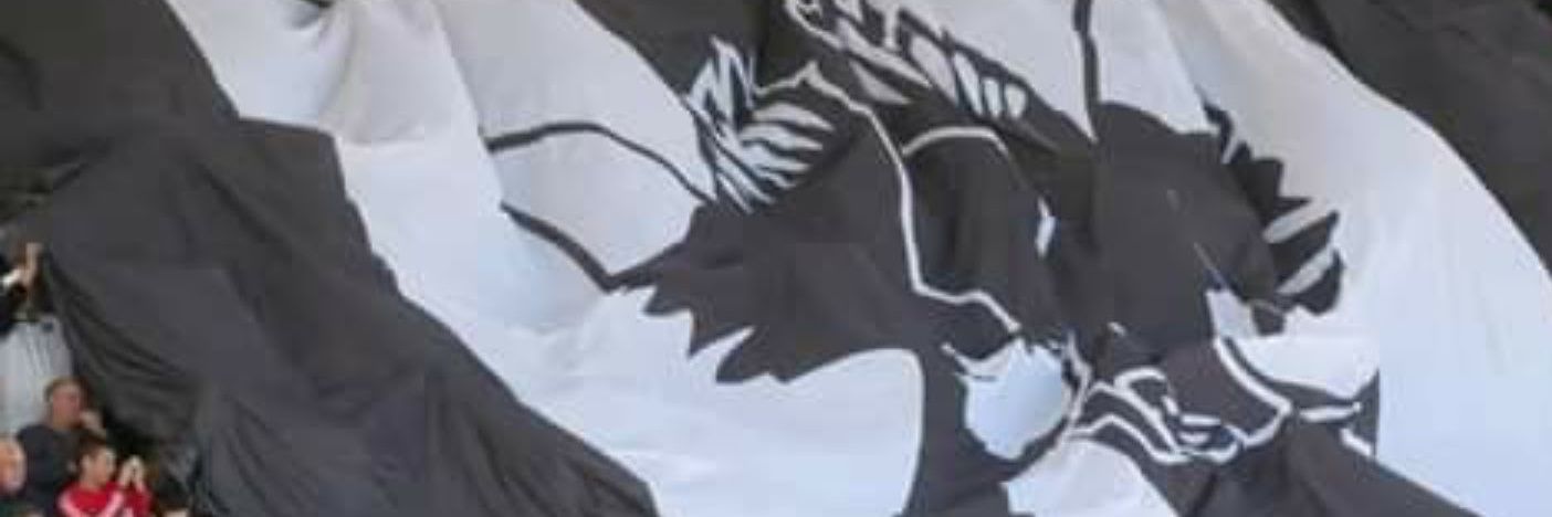 bellyncfc's profile banner image