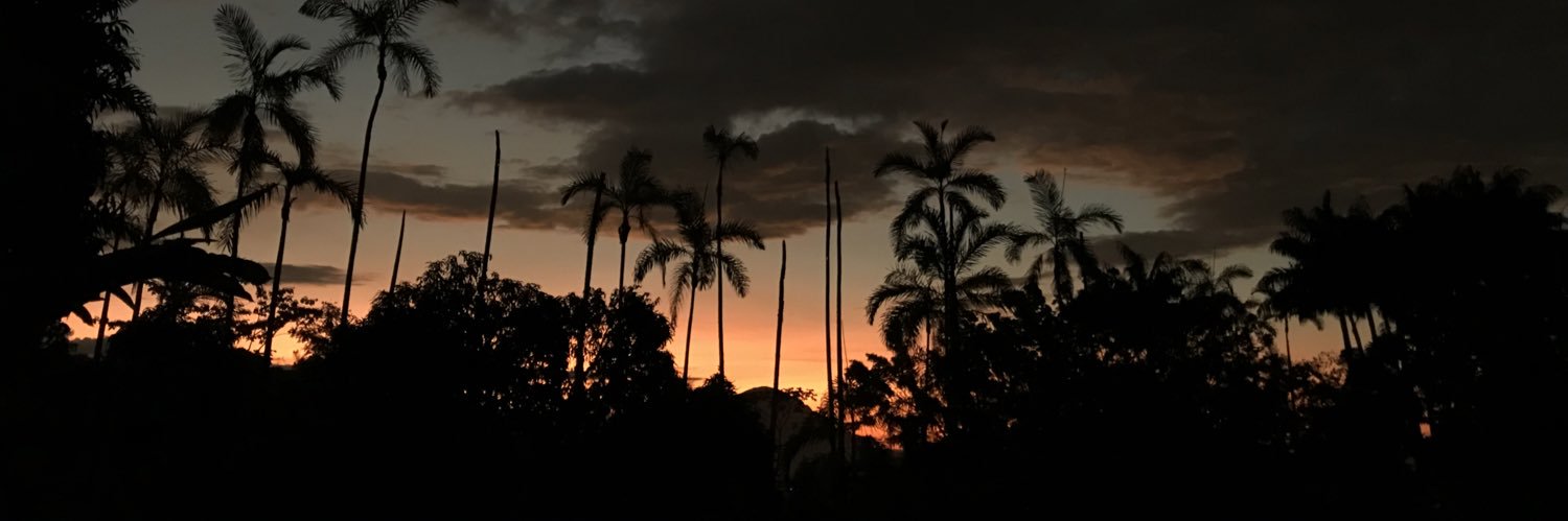 rocivasiglesias's profile banner image