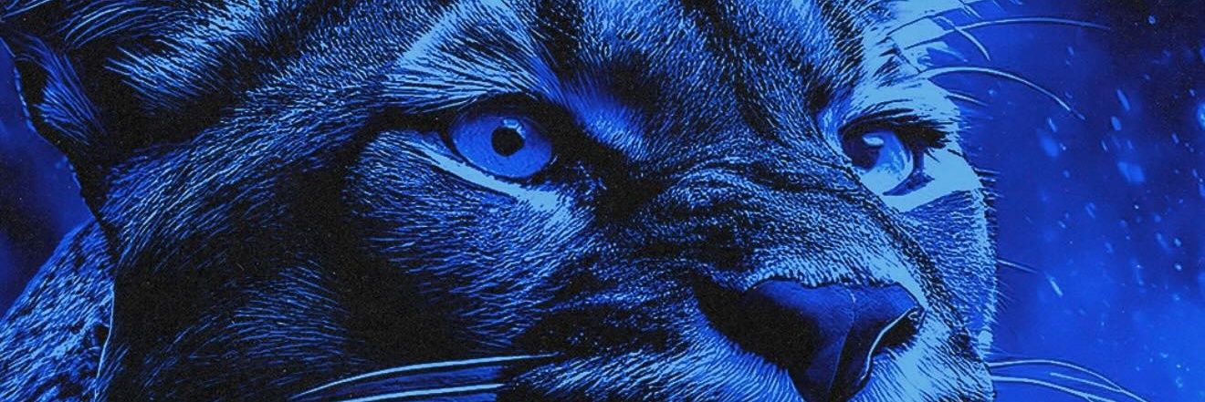 Pimmit1's profile banner image