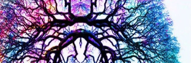 MustKnowFacts2's profile banner image