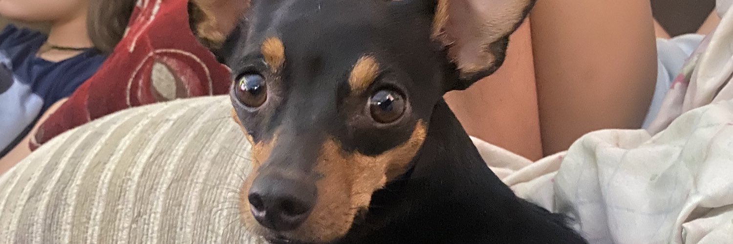 helolps_'s profile banner image
