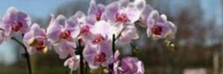 tugcekaraoglu's profile banner image
