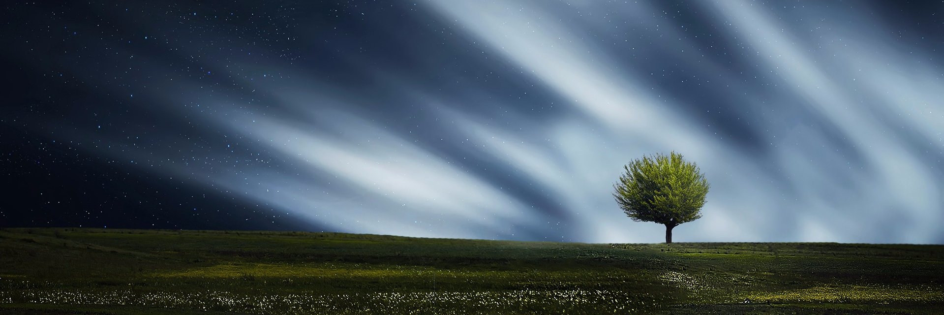 TheFelixWayne's profile banner image