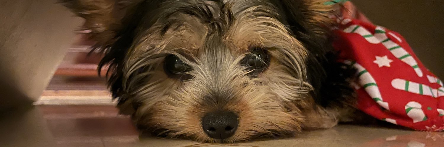 solo_ph's profile banner image