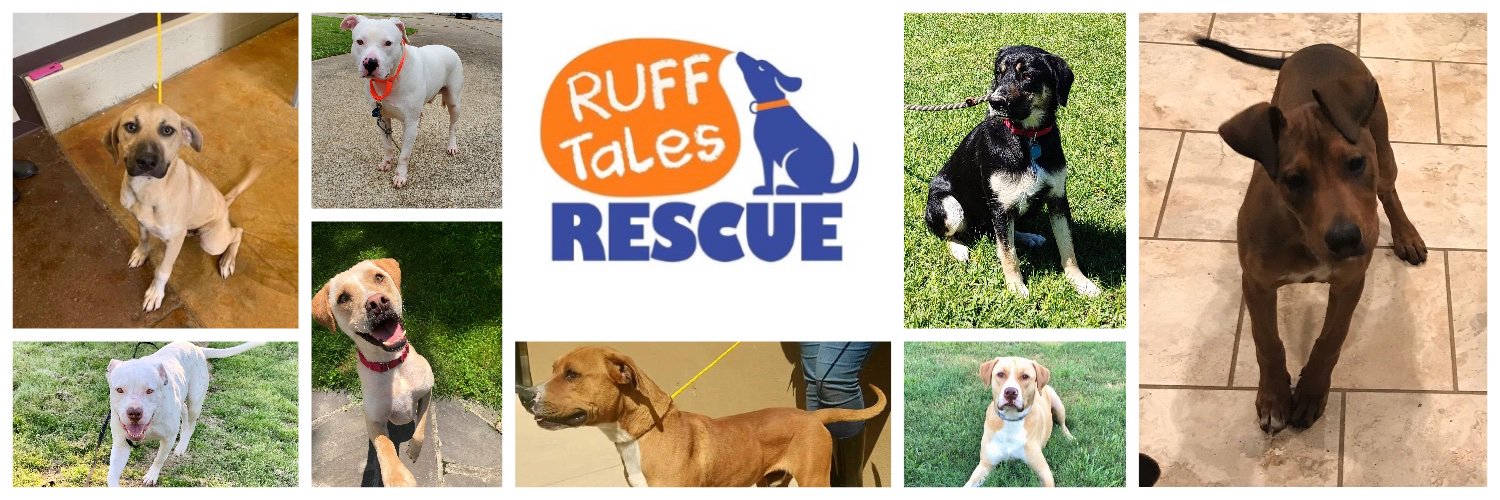 RuffTalesRescue's profile banner image