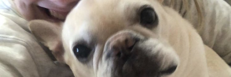 jenna_b_9's profile banner image