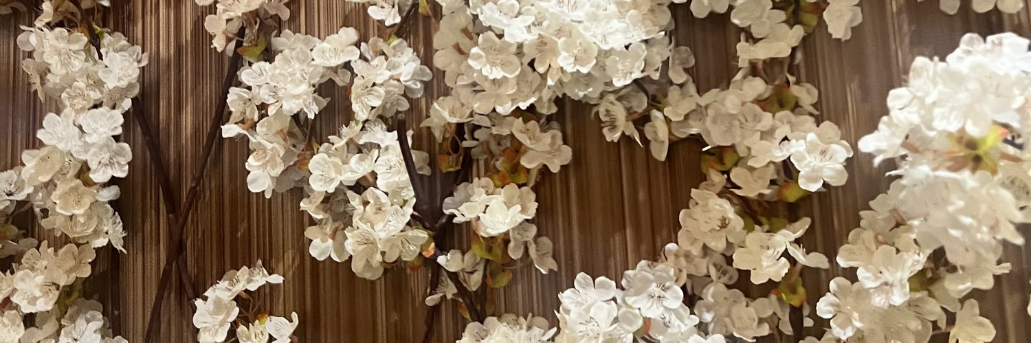 DaeSayer's profile banner image