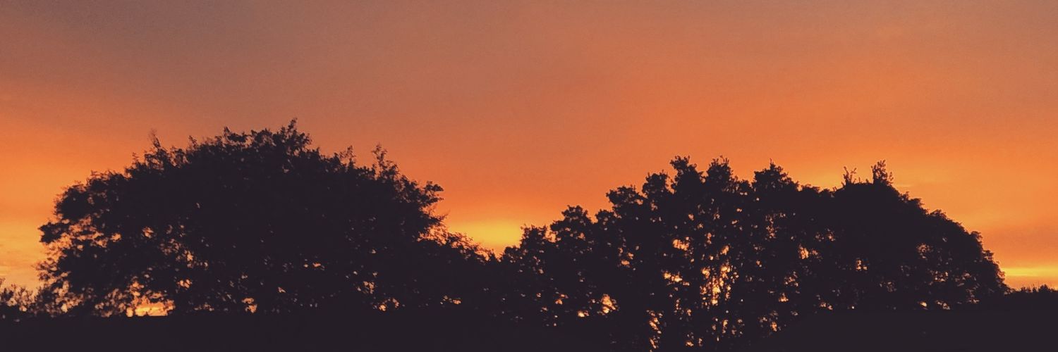 lequeenhazel's profile banner image