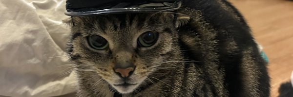 bllxby Profile Banner