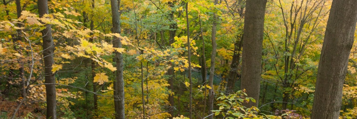 Eric De Giuli banner