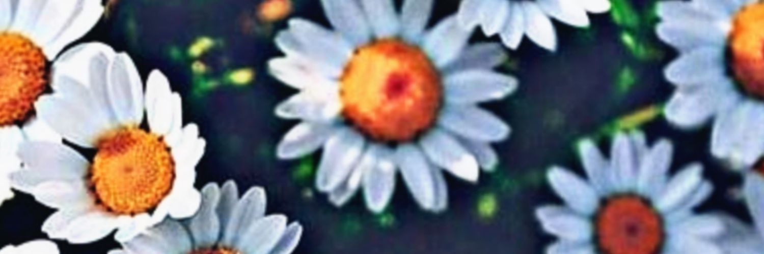 VeryElizabethh's profile banner image