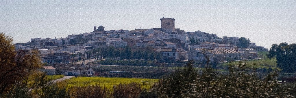 Álvaro Millán banner