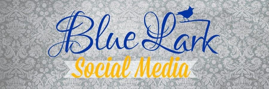 BlueLarkSocial's profile banner image