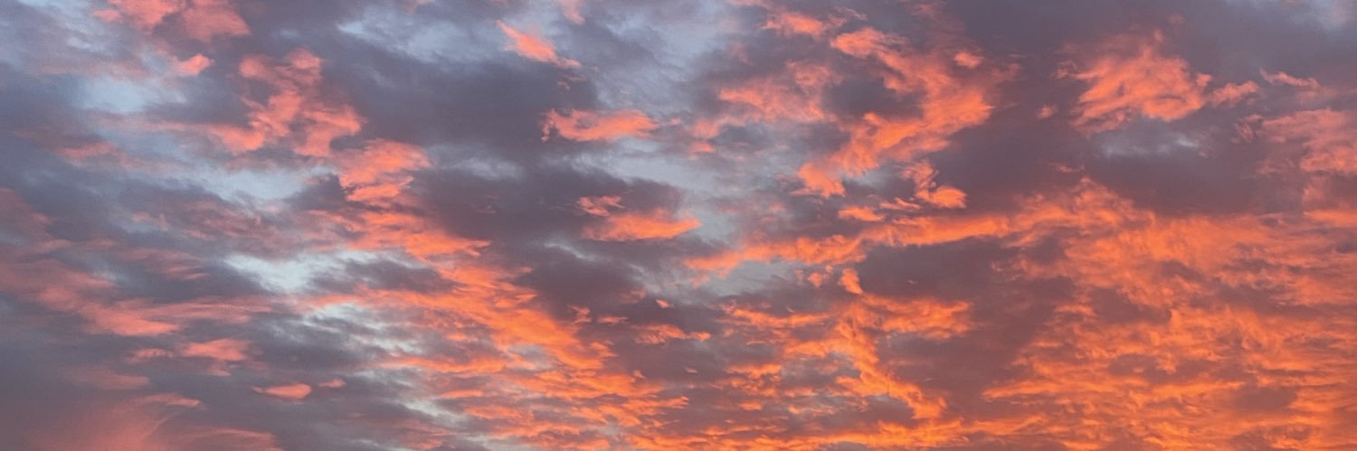 abby (she/her) banner