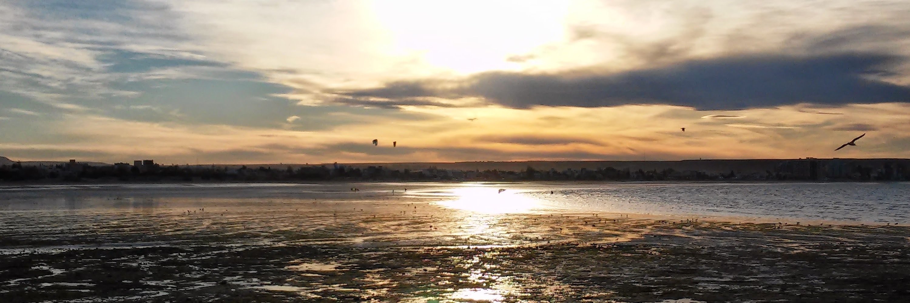 MarieR2015's profile banner image
