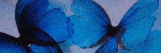NanaBaastos's profile banner image
