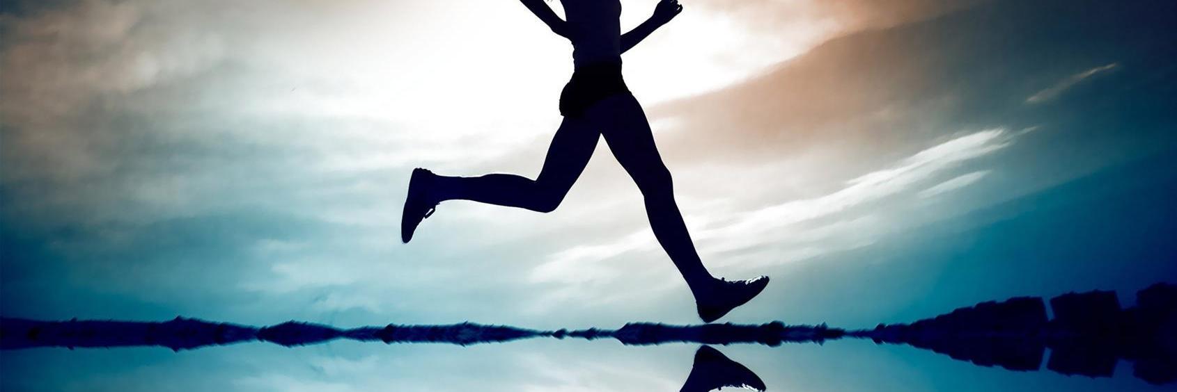 Path_2_Wellness banner