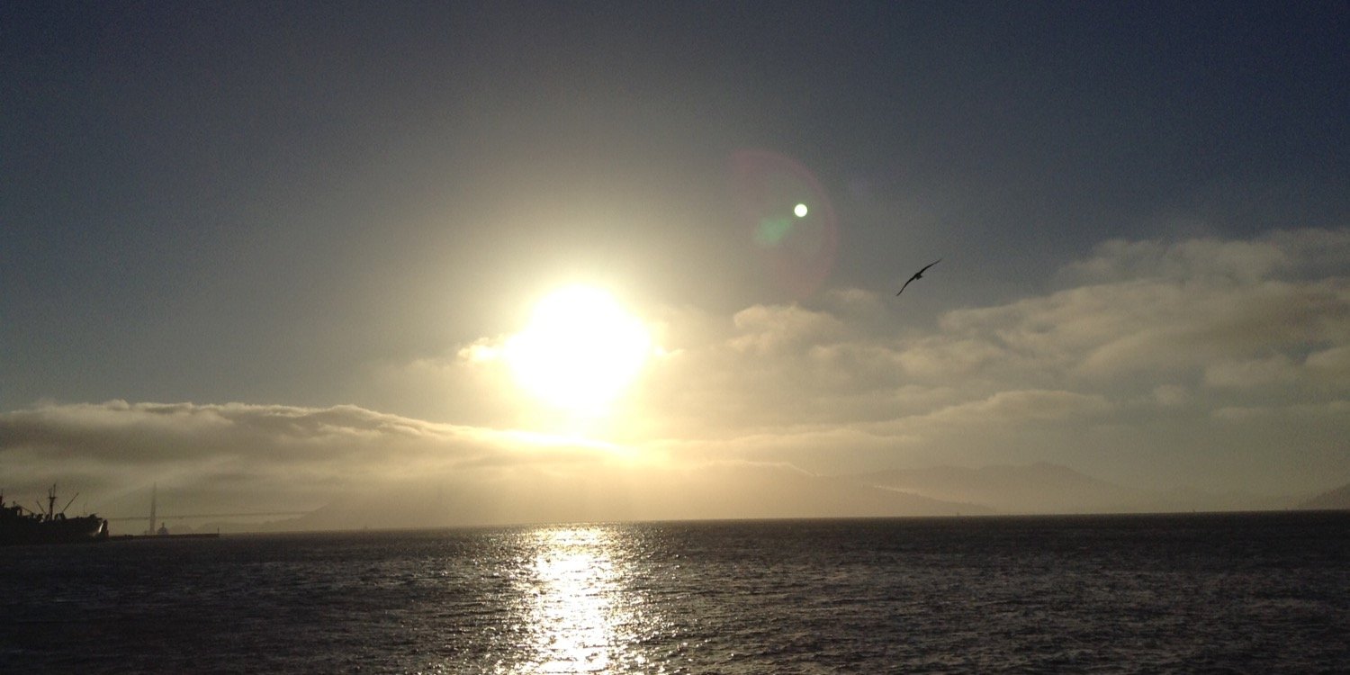 the_maginator's profile banner image
