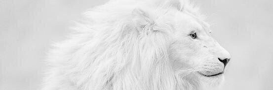 haaaath's profile banner image