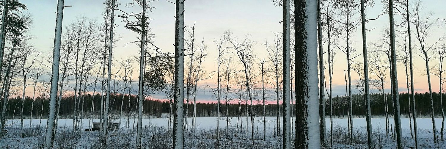 PSimoPonte's profile banner image
