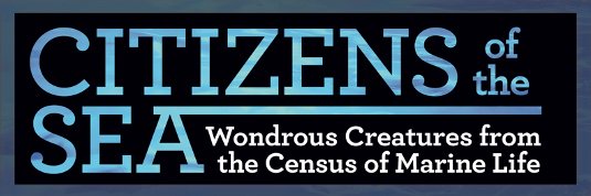 SeaCitizens's profile banner image