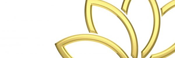 SimoneRauch's profile banner image