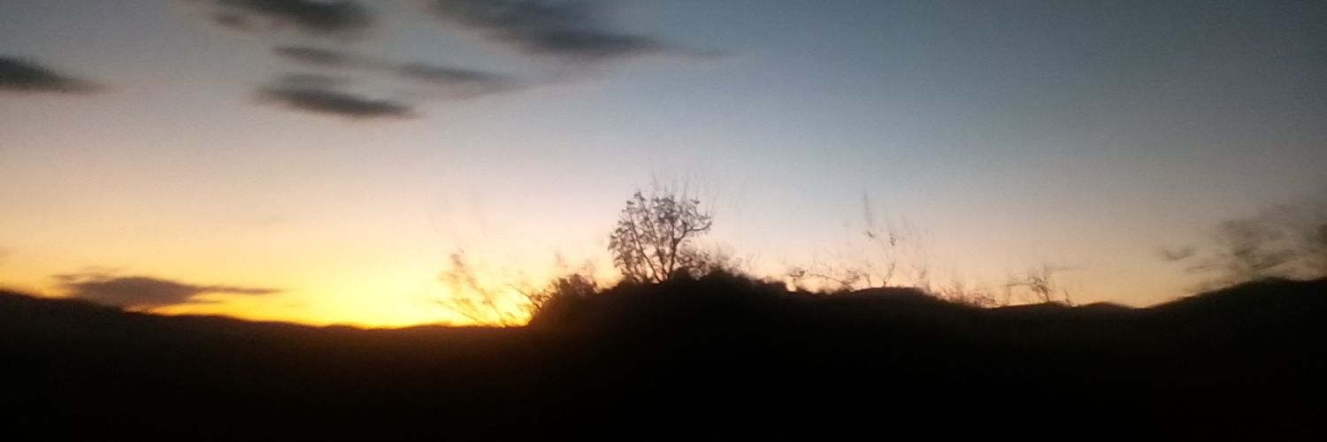 caarlozank's profile banner image