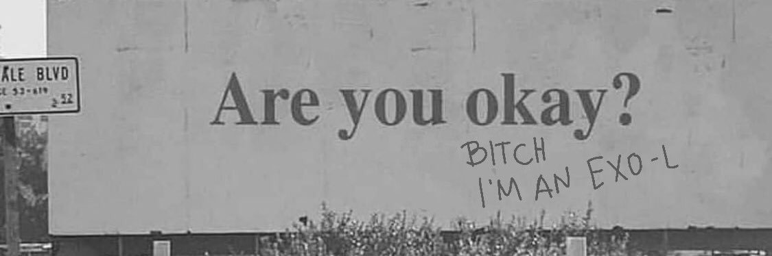 𝗉𝗈𝗈𝗄𝗂𝖾🎐♡'ㅅ'♡ banner