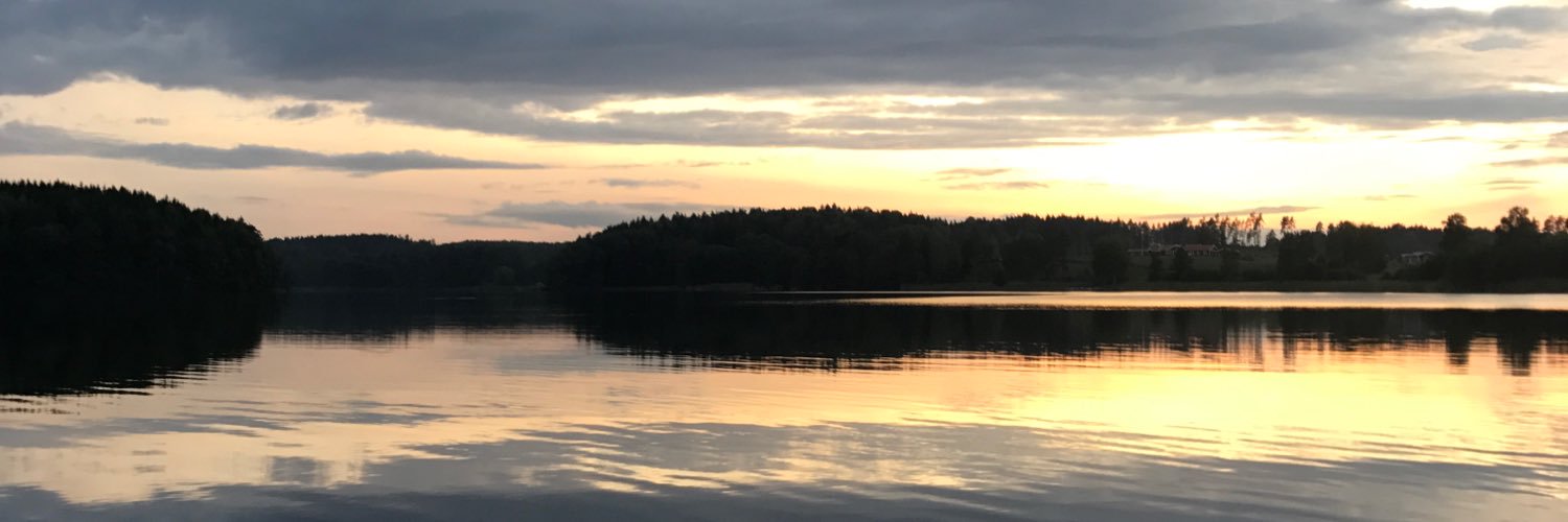 Aseaugustesen's profile banner image