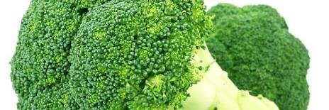 naturalff's profile banner image