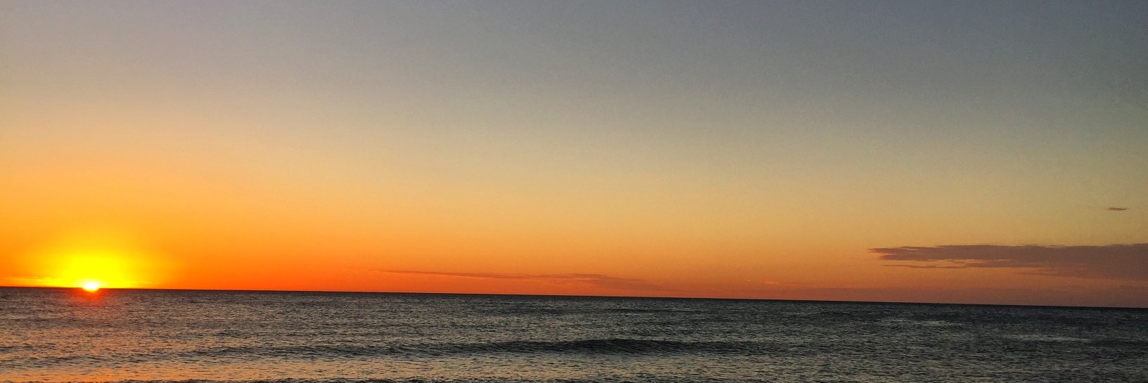lisamcook's profile banner image